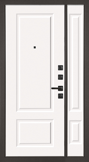 Входные двери для дома Теодор 