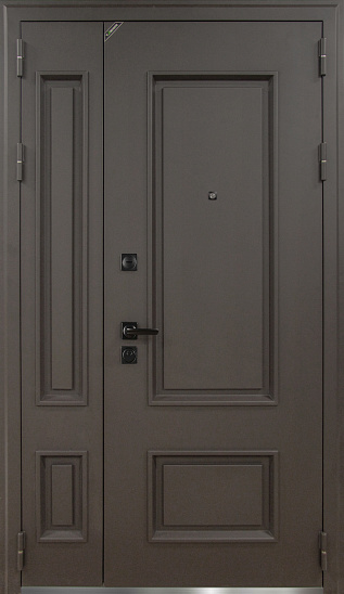 Входные двери для дома Теодор 