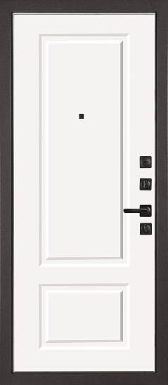 Входные двери для дома Теодор 