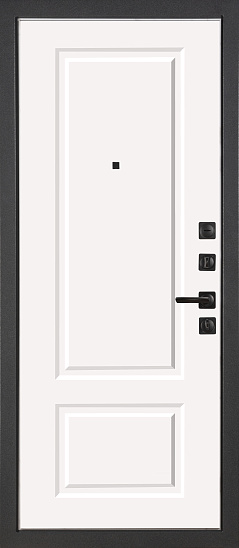 Входные двери для дома Теодор 